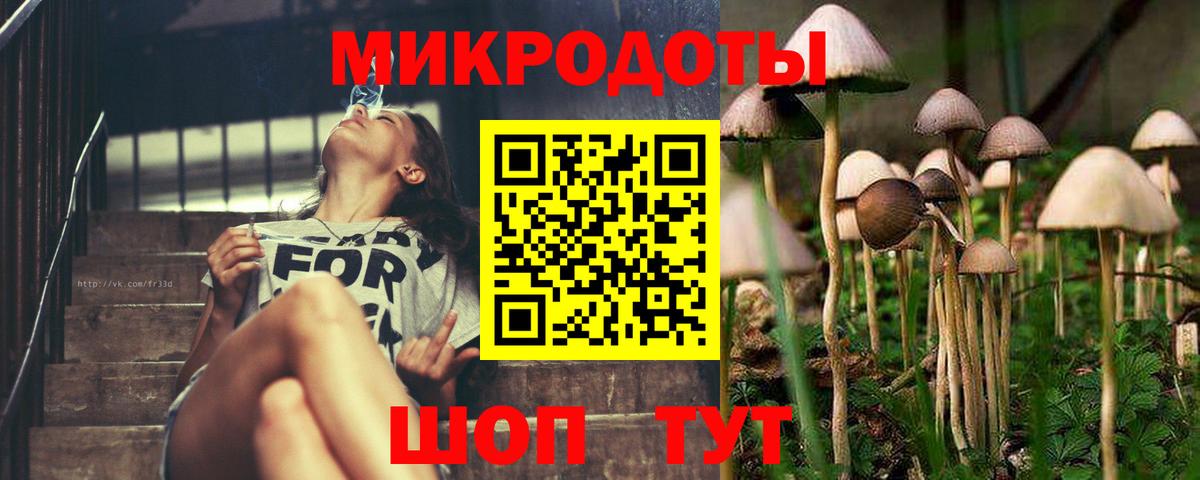 Псилоцибиновые грибы MAGIC MUSHROOMS  Вход с VPN  Горно-Алтайск  Галлюциногенные грибы мухоморы 